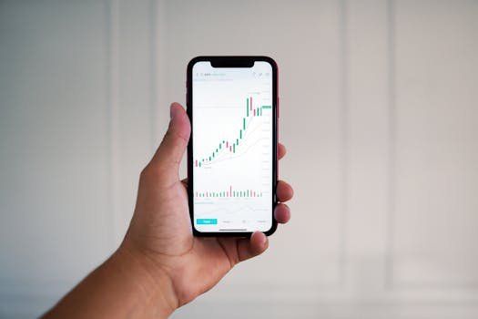 Person Holding a Phone with Data on the Screen